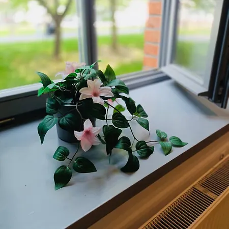 Apartment Center Big Tobiasza With Free Parking