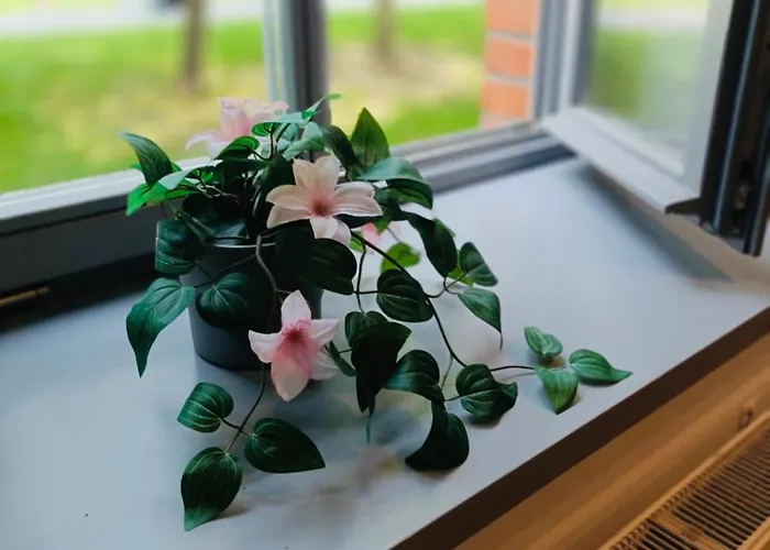 Διαμέρισμα Center Big Tobiasza With Free Parking